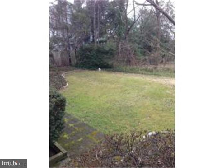 411 Vernon Road Jenkintown, PA 19046 - Photo 14 of 17 a view of a yard