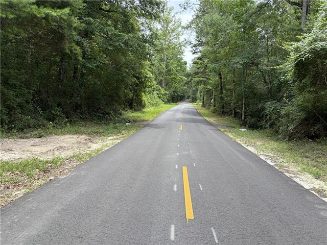 0 Thigpen Road Franklinton, LA 70438 - Photo 6 of 34