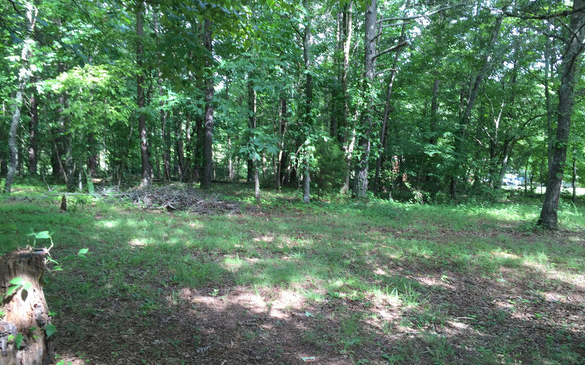 436 Henson Road Warne, NC 28909 - Photo 1 of 1 Main View