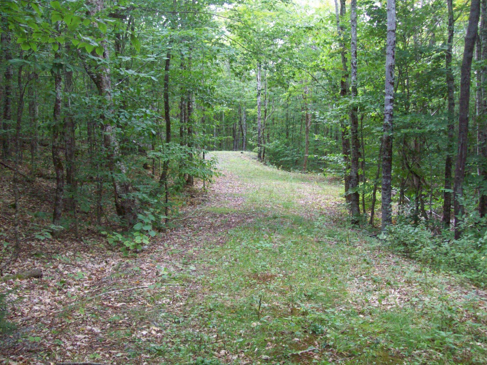 485 Spaulding Pond Road Lakeville, ME 04487 - Photo 2 of 14 100_3075