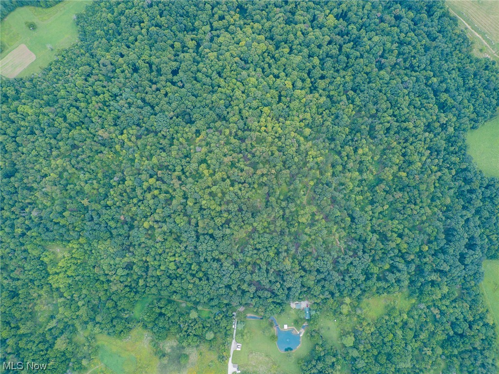 73110 Turkey Run Road Kimbolton, OH 43749 - Photo 13 of 29 Aerial view