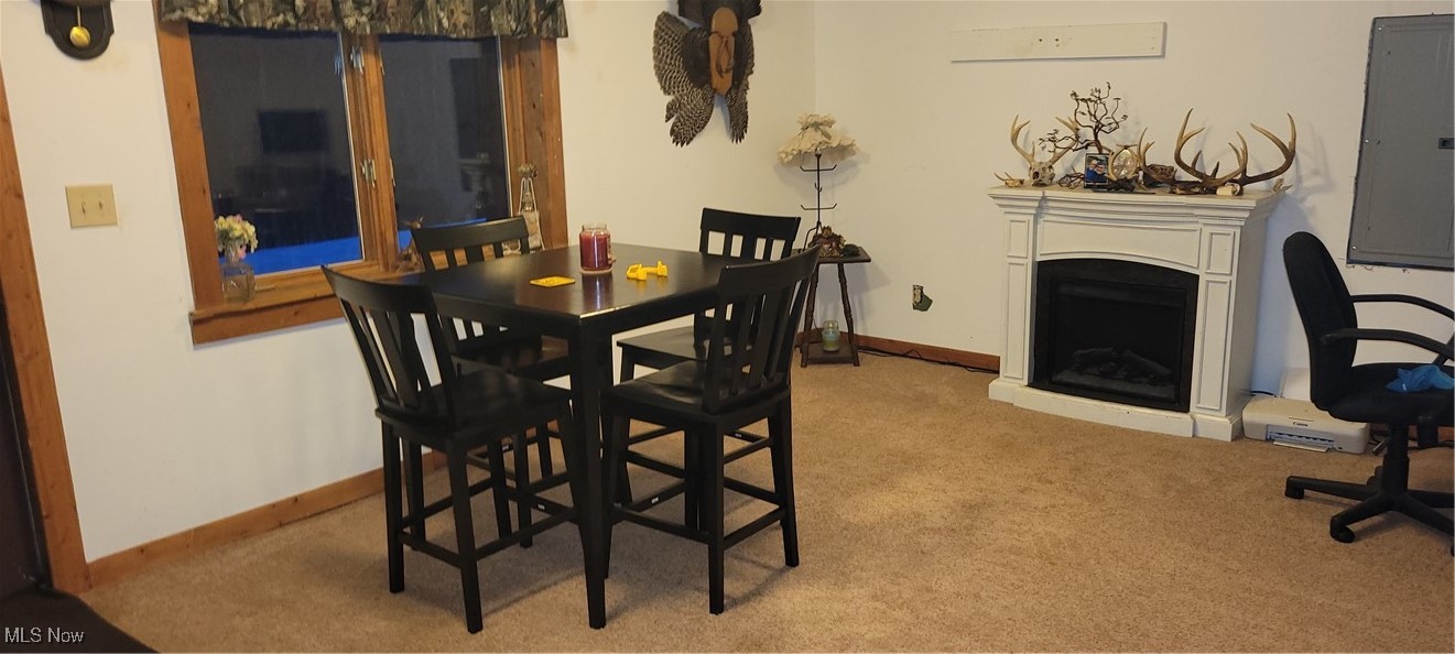 12980 Portie-Flamingo Road Corning, OH 43730 - Photo 19 of 30 Carpeted dining basement