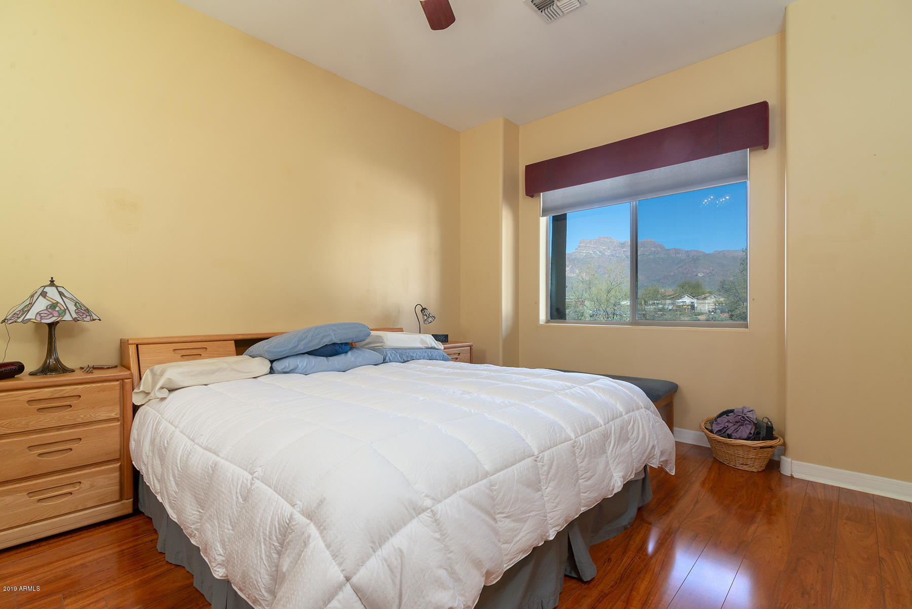 2005 South Val Vista Road Apache Junction, AZ 85119 - Photo 16 of 29 MASTER BEDROOM - VIEWS
