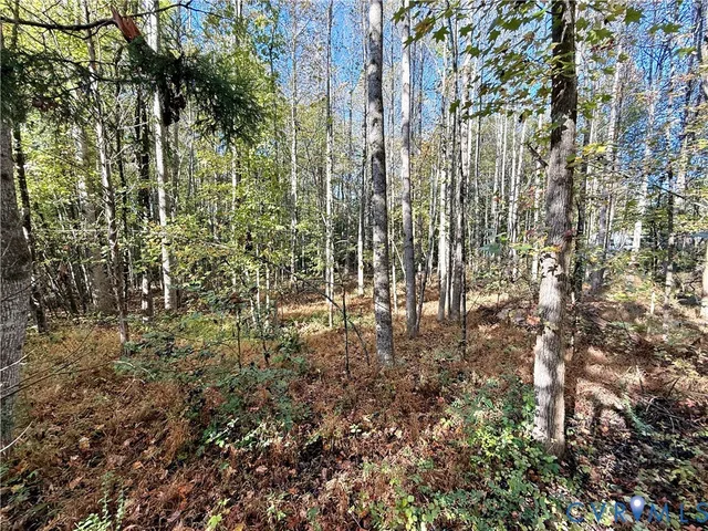 a view of a backyard with large trees