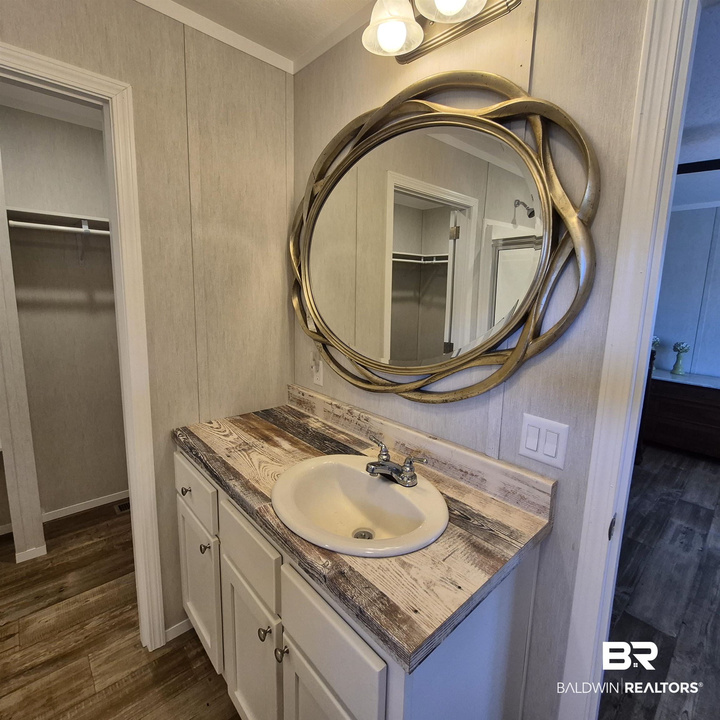 8867 Old Stage Road Repton, AL 36475 - Photo 19 of 37 Bathroom with a spacious closet, vanity, and dark wood-style floors