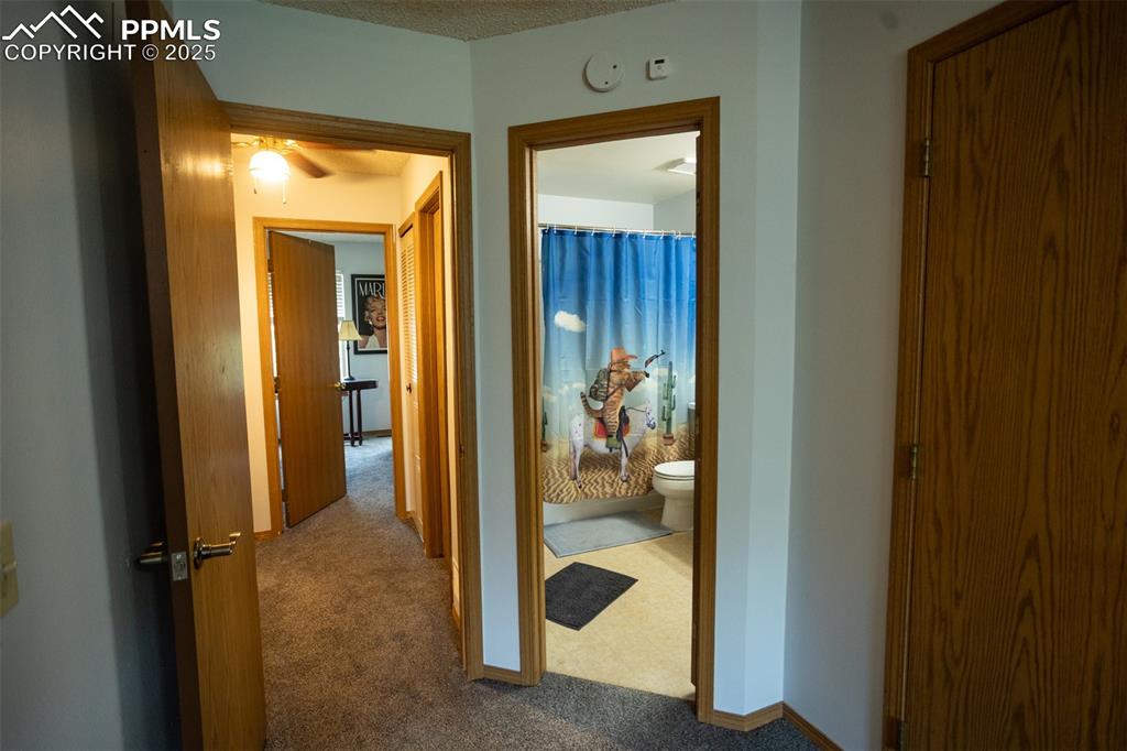 3515 Queen Anne Way Colorado Springs, CO 80917 - Photo 16 of 33 a view of a hallway with wooden shelves