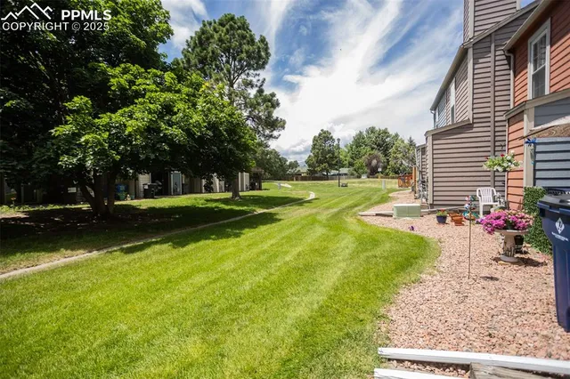 a view of a park with large trees