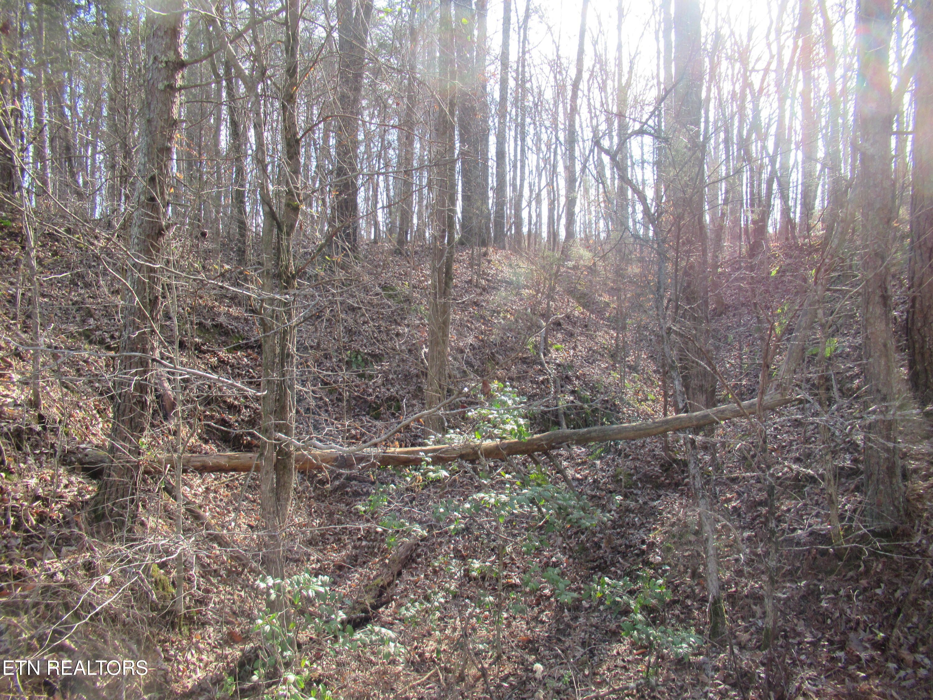 Tomotley Road Maryville, TN 37801 - Photo 4 of 12 IMG_2250