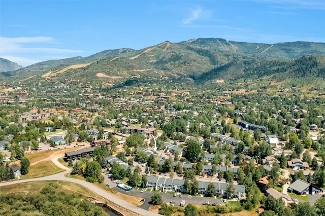 an aerial view of residential houses with outdoor space and trees