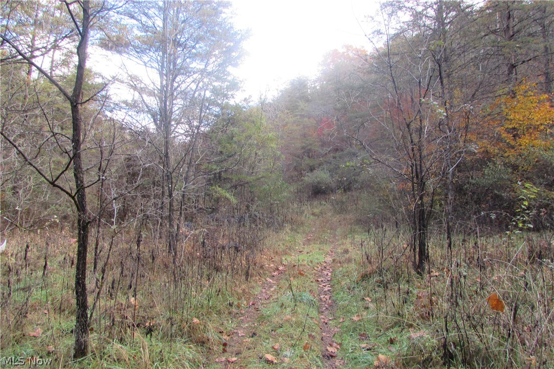 Racy Road Petroleum, WV 26161 - Photo 12 of 16