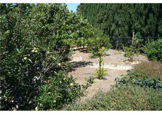 2146 Gum Tree Lane Fallbrook, CA 92028 - Photo 22 of 23 Family Fruit...