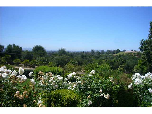 2146 Gum Tree Lane Fallbrook, CA 92028 - Photo 23 of 23 Pretty VIEWS.