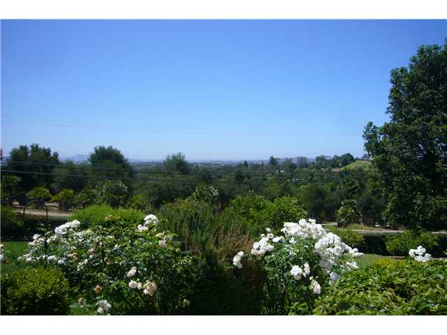 2146 Gum Tree Lane Fallbrook, CA 92028 - Photo 10 of 23 Very pretty views of valley with night lights.