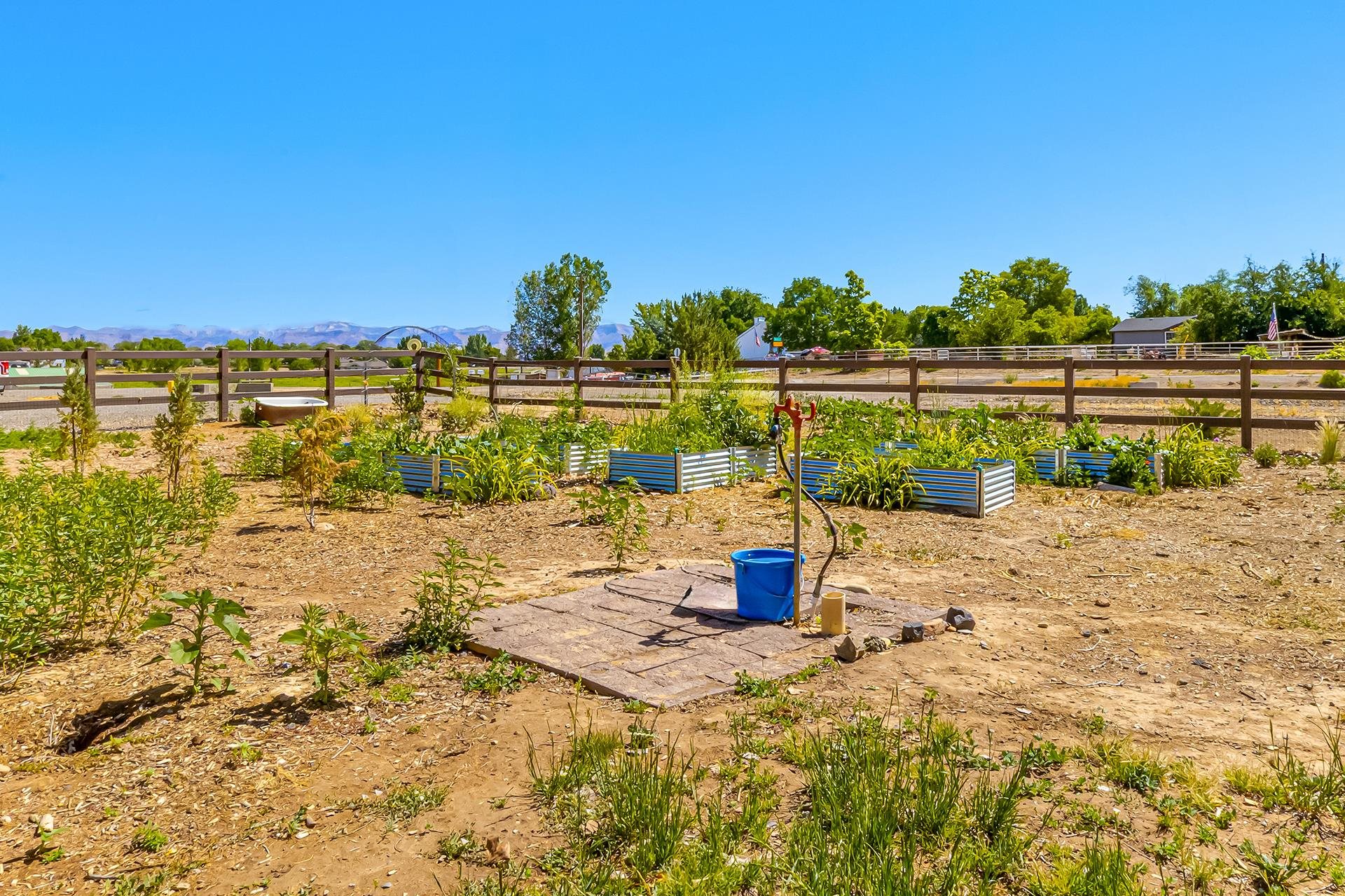 1221-17 17 1/2 Road Fruita, CO 81521 - Photo 24 of 36