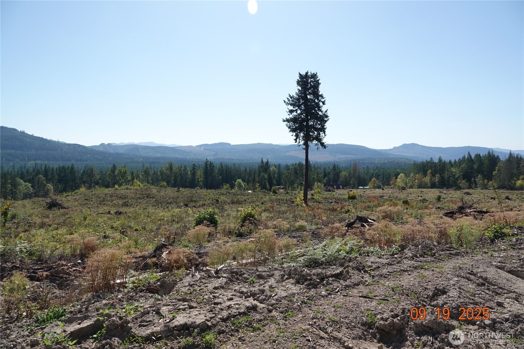 10119 Eatonville Highway East Eatonville, WA 98328 - Photo 11 of 25 a view of a lush green field