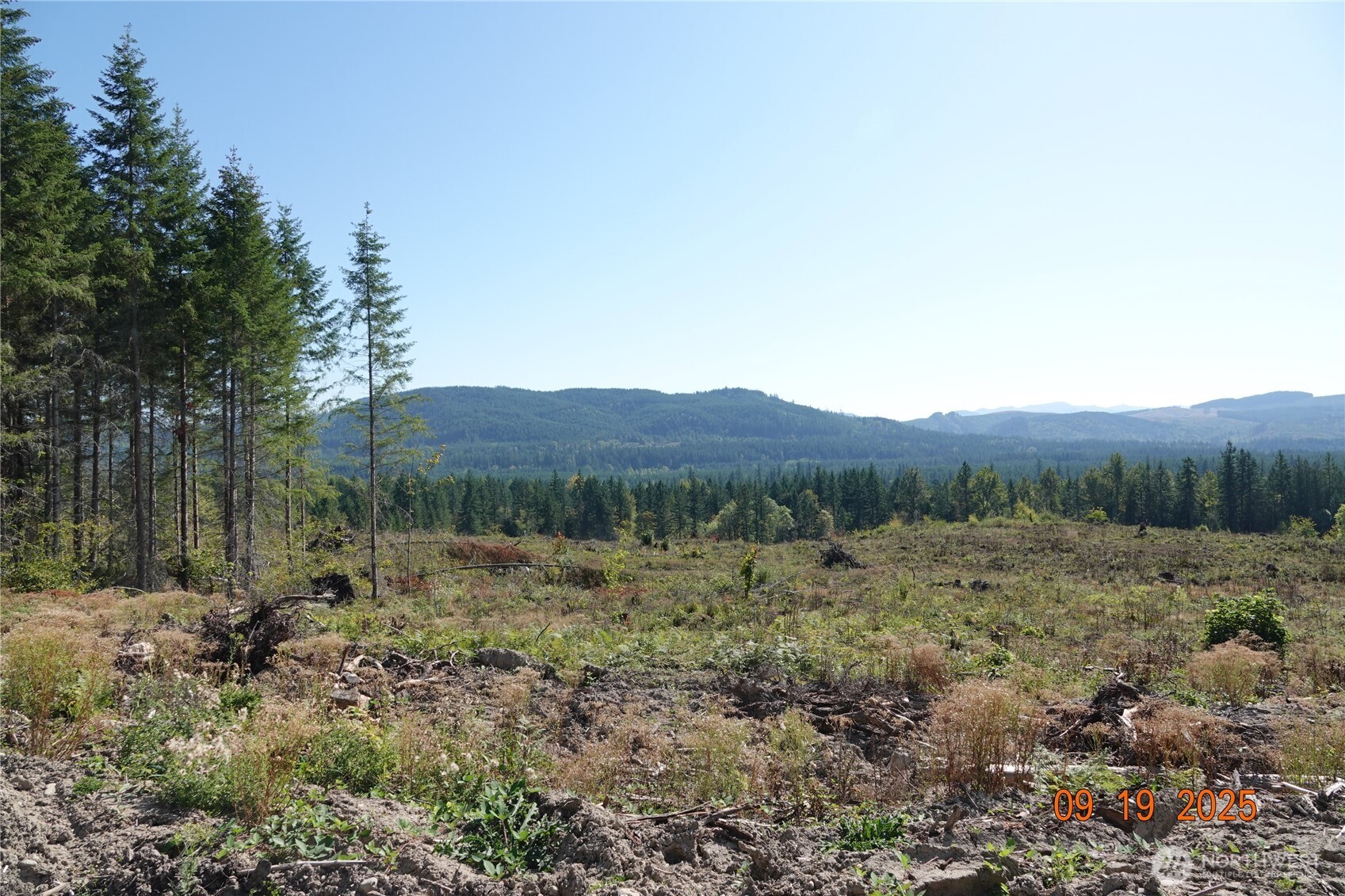 10119 Eatonville Highway East Eatonville, WA 98328 - Photo 12 of 25 a view of outdoor space and green field