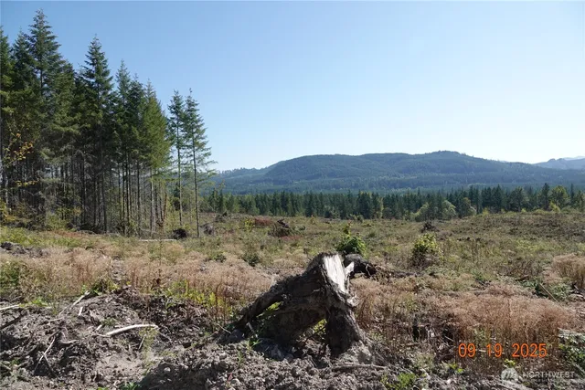 a view of a mountain in the distance