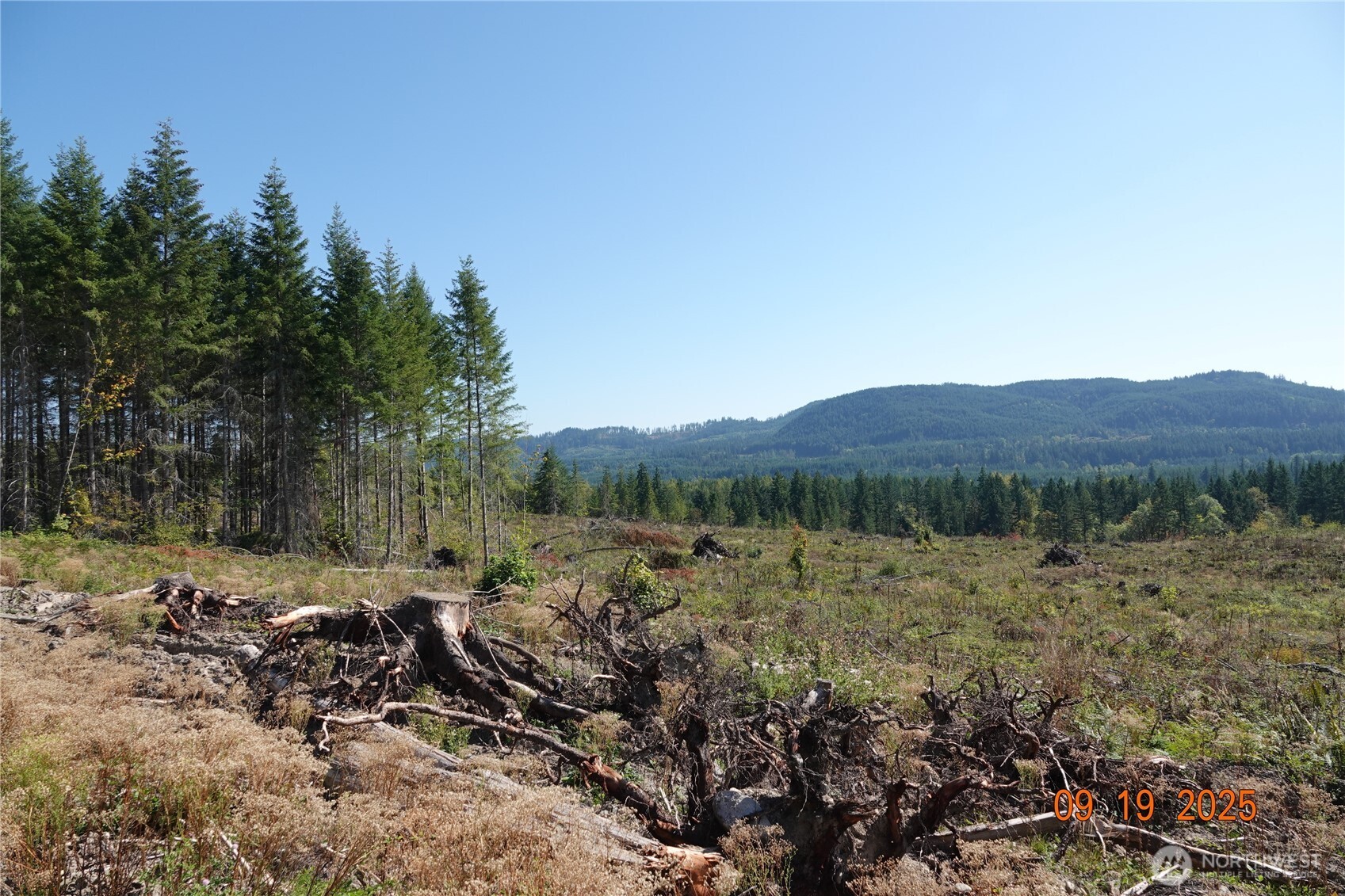 10119 Eatonville Highway East Eatonville, WA 98328 - Photo 14 of 25 a view of outdoor space and green field