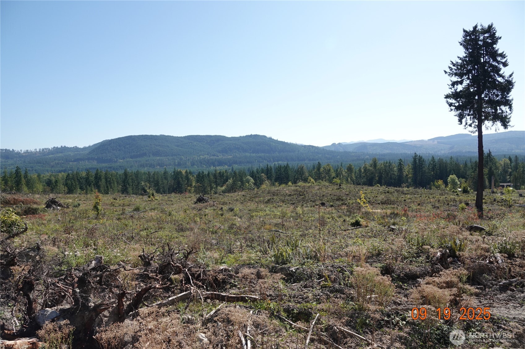 10119 Eatonville Highway East Eatonville, WA 98328 - Photo 15 of 25 a view of a mountain in the distance