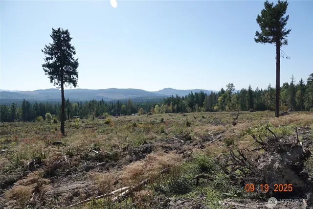 a view of a yard with plants and wooden fence
