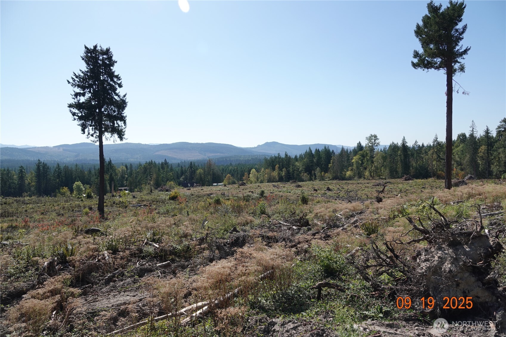 10119 Eatonville Highway East Eatonville, WA 98328 - Photo 16 of 25 a view of a outdoor space