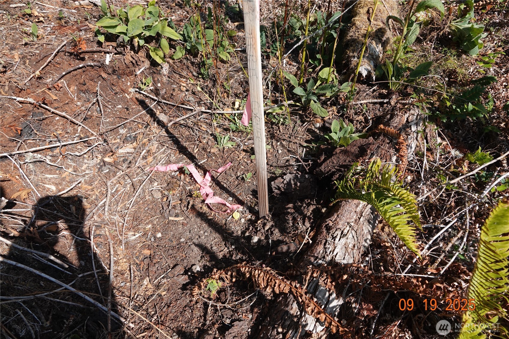 10119 Eatonville Highway East Eatonville, WA 98328 - Photo 17 of 25