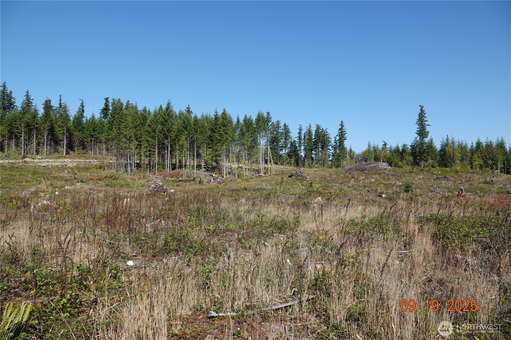 10119 Eatonville Highway East Eatonville, WA 98328 - Photo 22 of 25 a view of an outdoor space with green field and trees