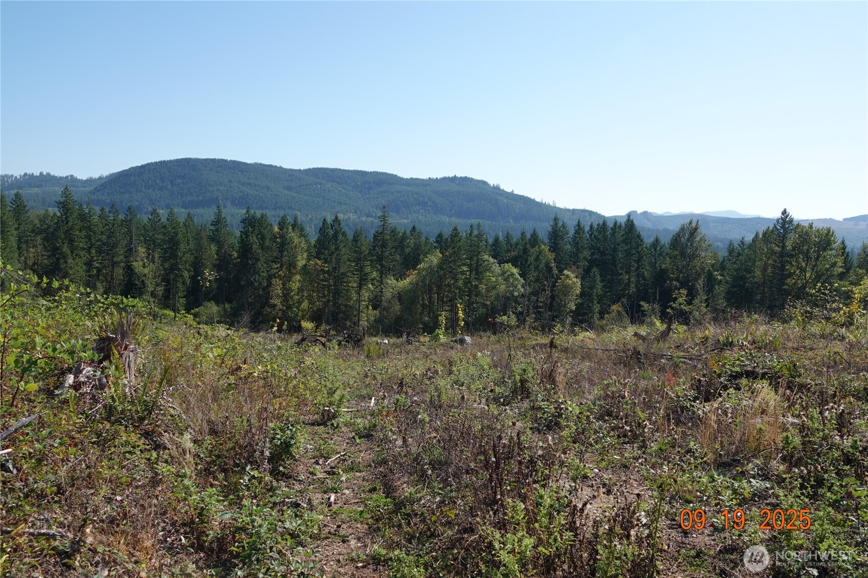 10119 Eatonville Highway East Eatonville, WA 98328 - Photo 23 of 25 a view of a lush green field with mountains in the background