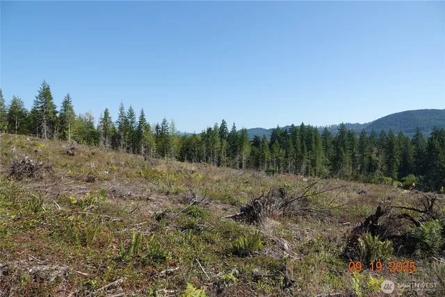 $399,000 | 10119 Eatonville Highway East, Eatonville, WA 98328