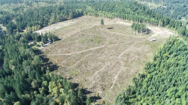 a view of a yard with a tree
