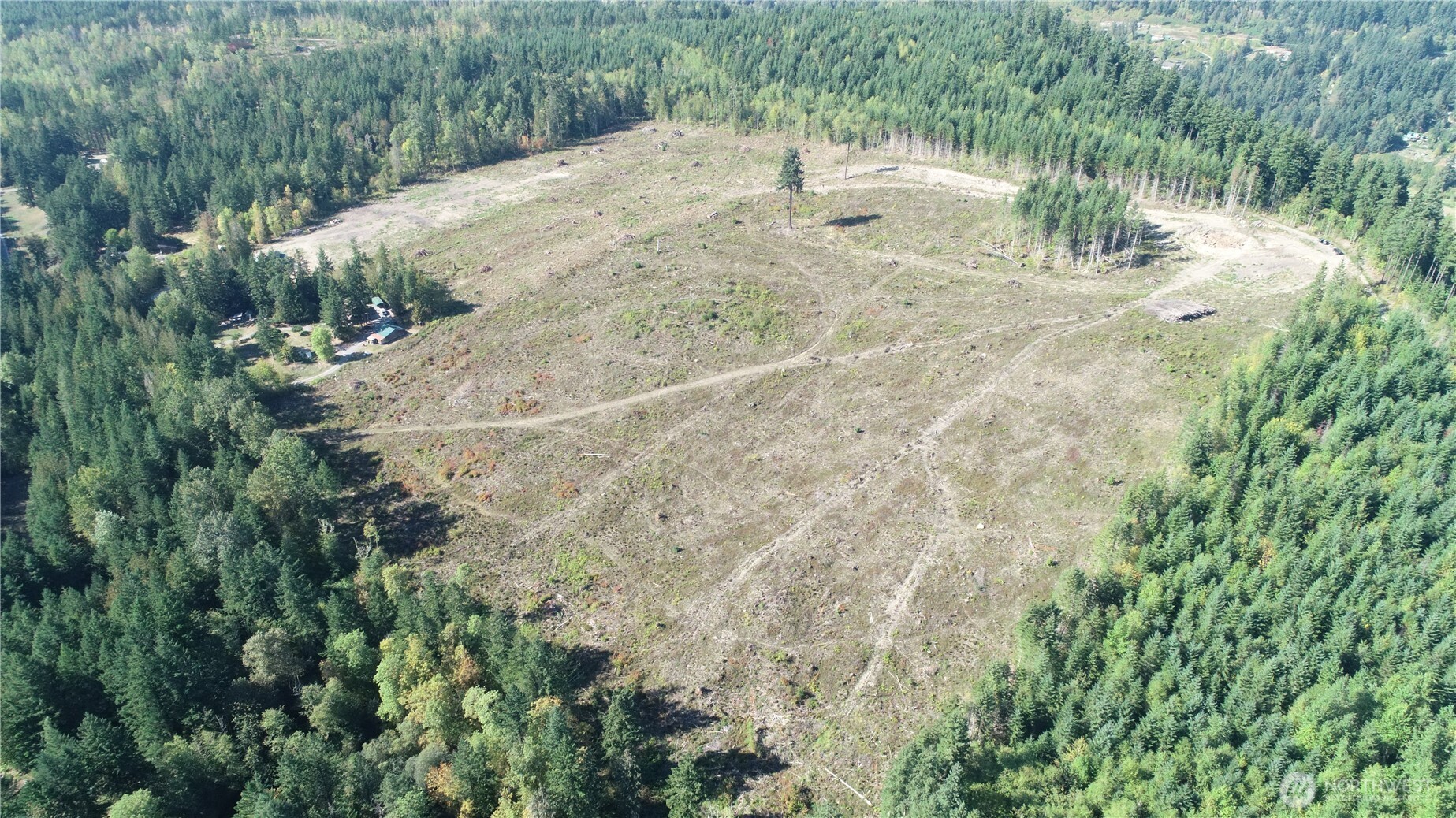 10119 Eatonville Highway East Eatonville, WA 98328 - Photo 5 of 25 a view of a yard with a tree