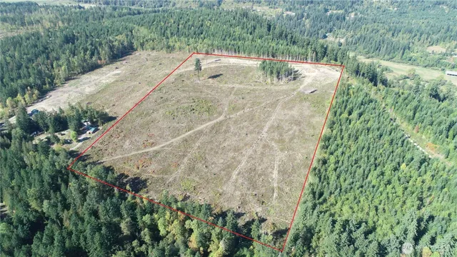 a view of a forest with trees