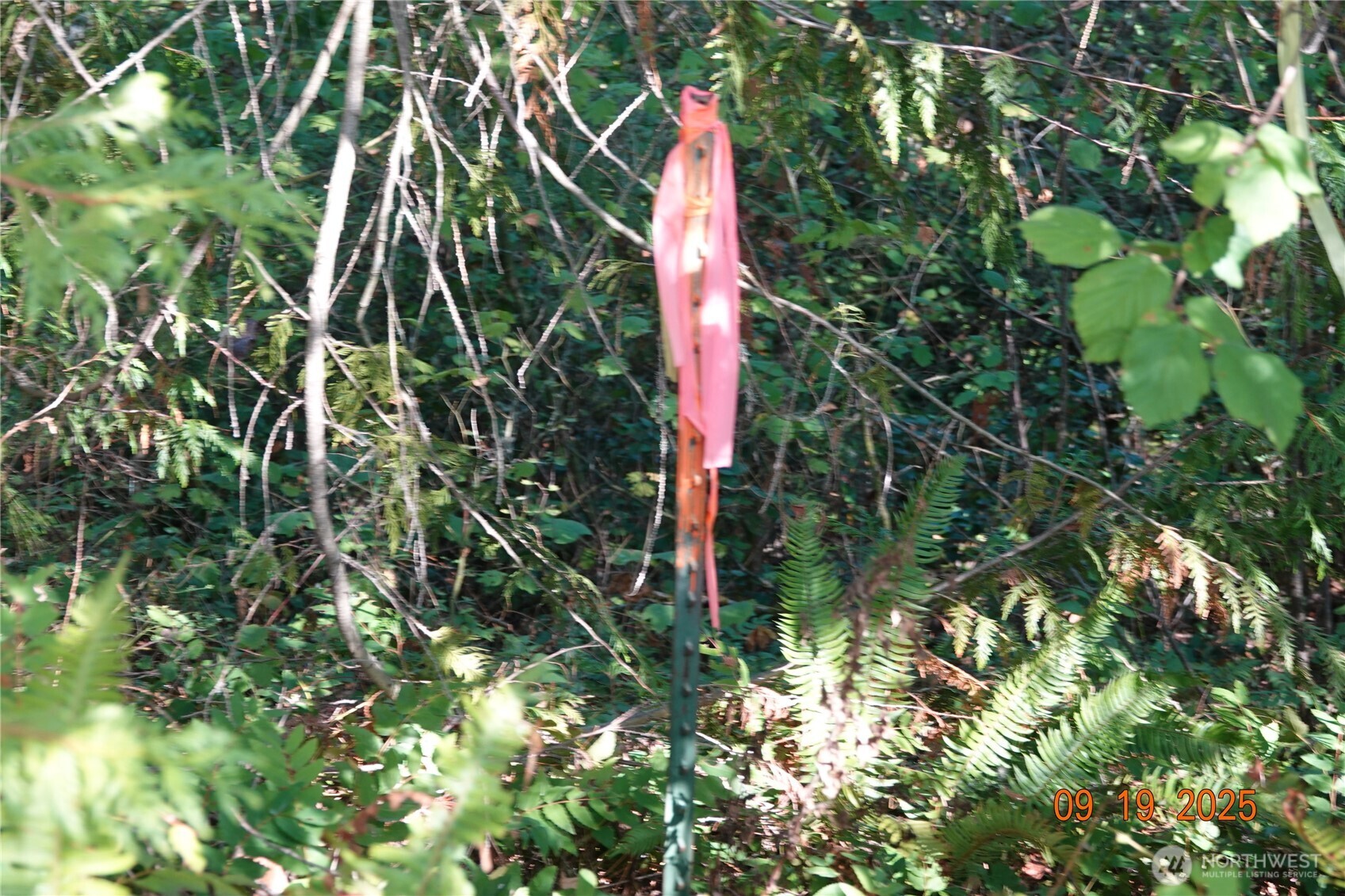 10119 Eatonville Highway East Eatonville, WA 98328 - Photo 8 of 25