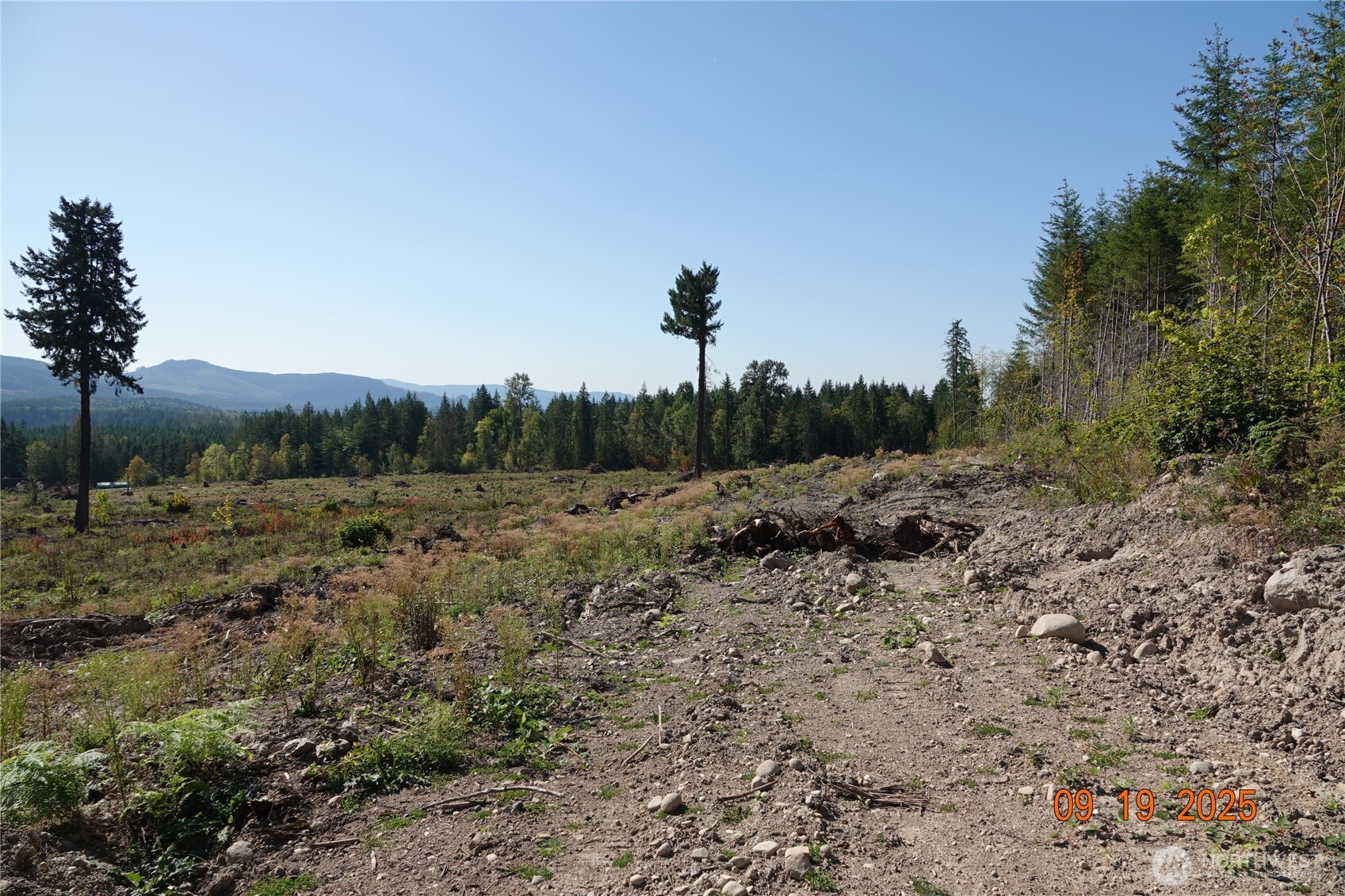 10119 Eatonville Highway East Eatonville, WA 98328 - Photo 10 of 25 a view of a dry field with trees