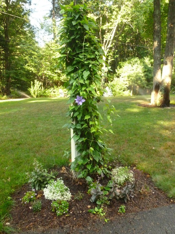 92 Green Road Bolton, MA 01740 - Photo 17 of 17 a view of a garden with an trees