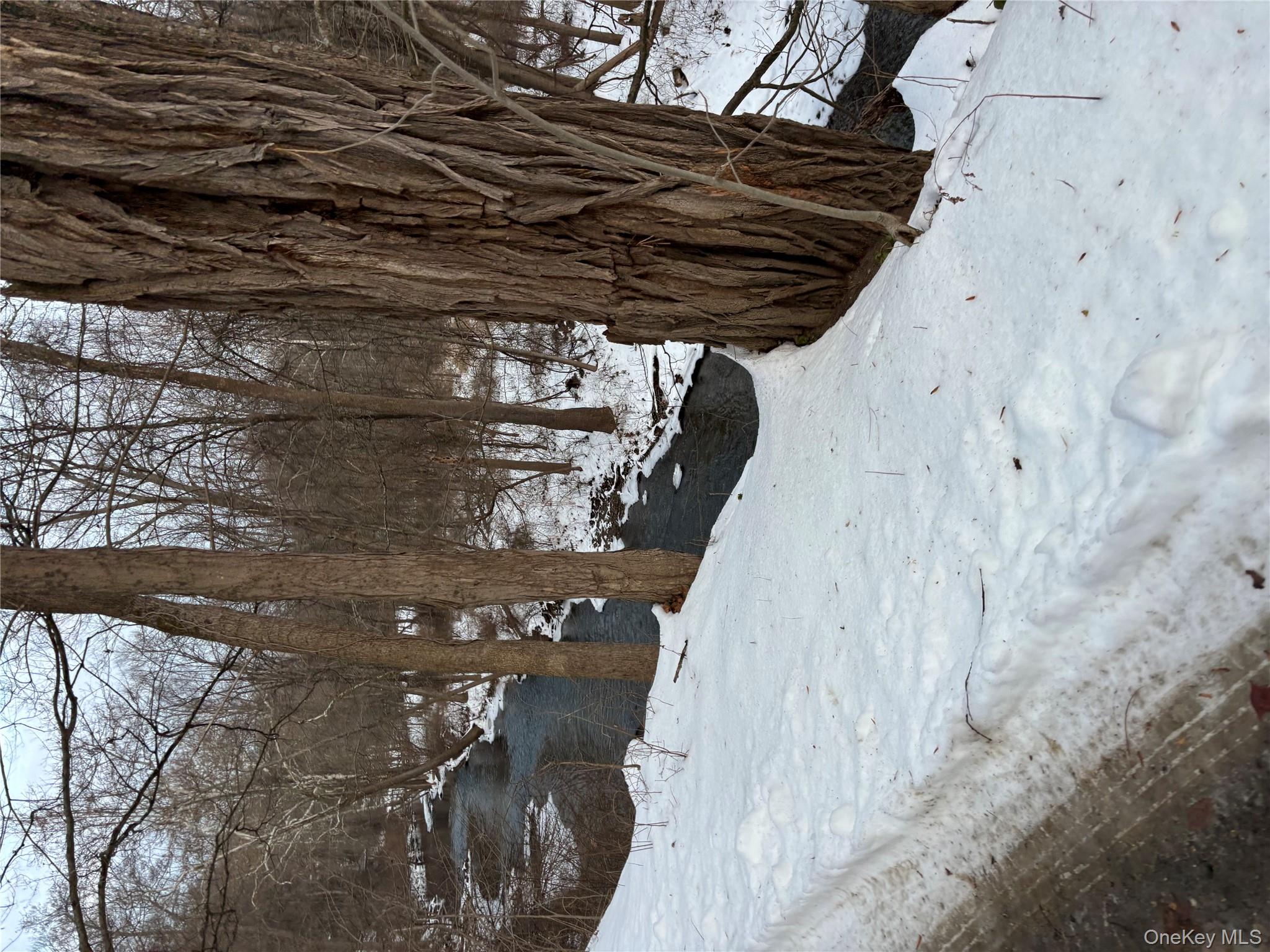 Gallows Hill Road Cortlandt Manor, NY 10567 - Photo 3 of 7 a view of a backyard of the house