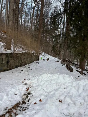 a view of a dry yard covered with snow in the outdoor space