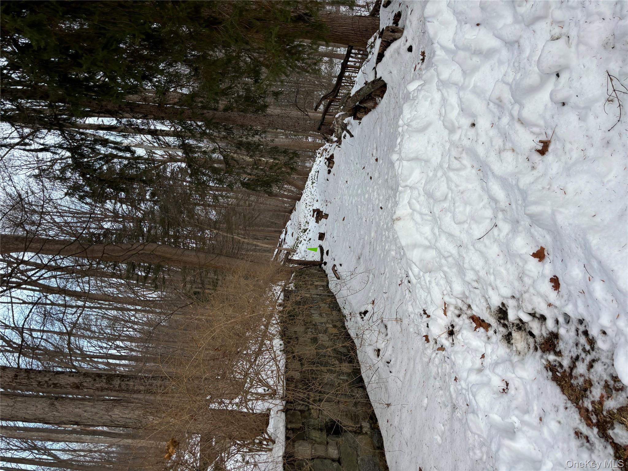 Gallows Hill Road Cortlandt Manor, NY 10567 - Photo 4 of 7 a view of a dry yard covered with snow in the outdoor space