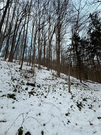 a view of a yard covered in snow