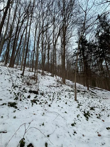 a view of a yard covered in snow