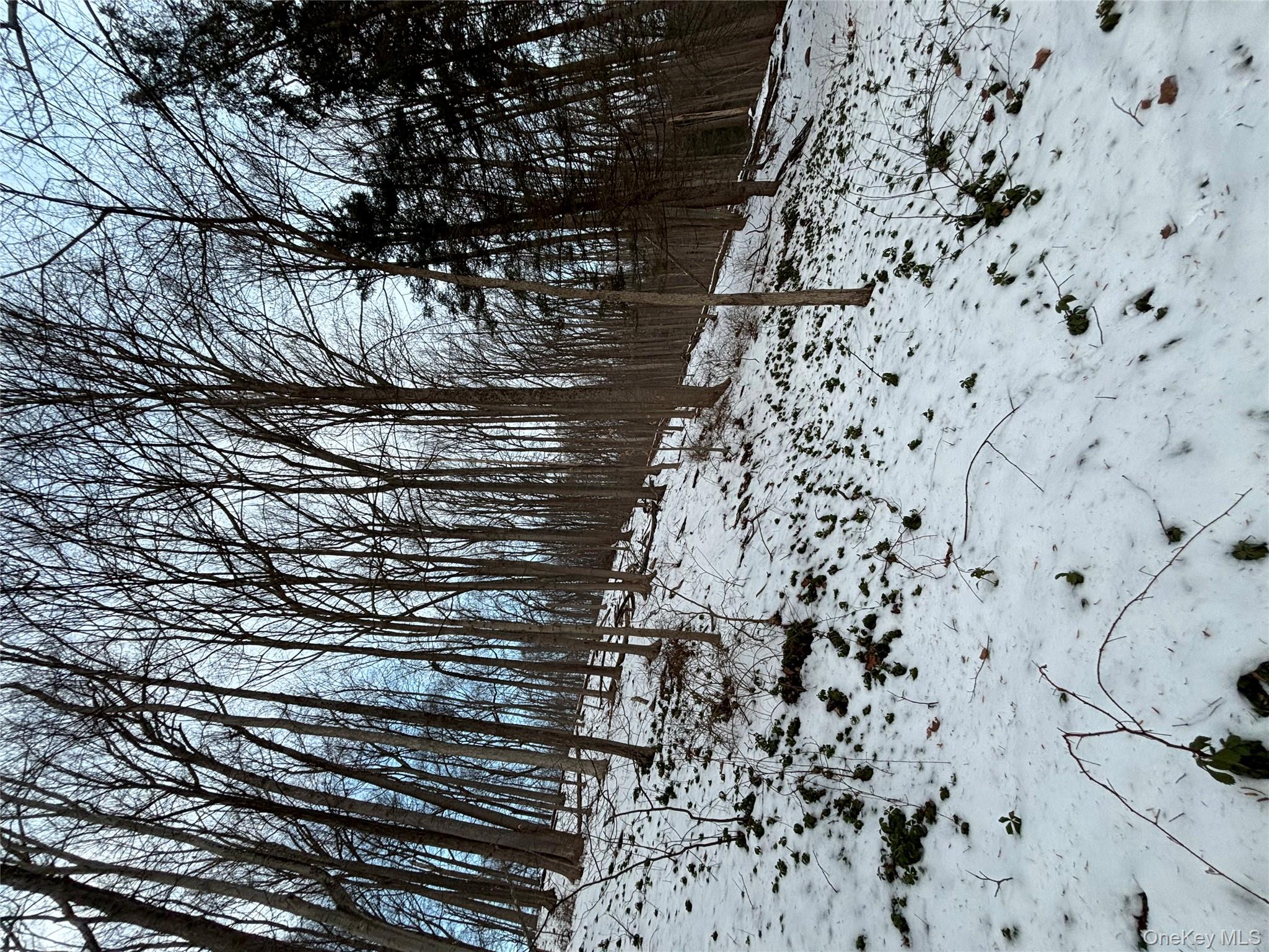 Gallows Hill Road Cortlandt Manor, NY 10567 - Photo 7 of 7 a view of a yard covered in snow