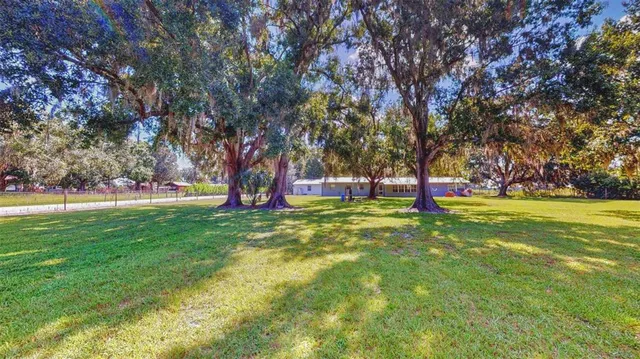 a view of yard with green space