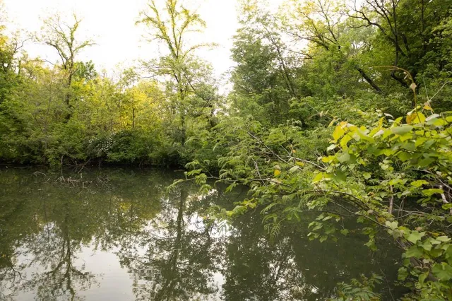 $750,000 | 3014 West 4th Street, Pittsburg, KS 66762