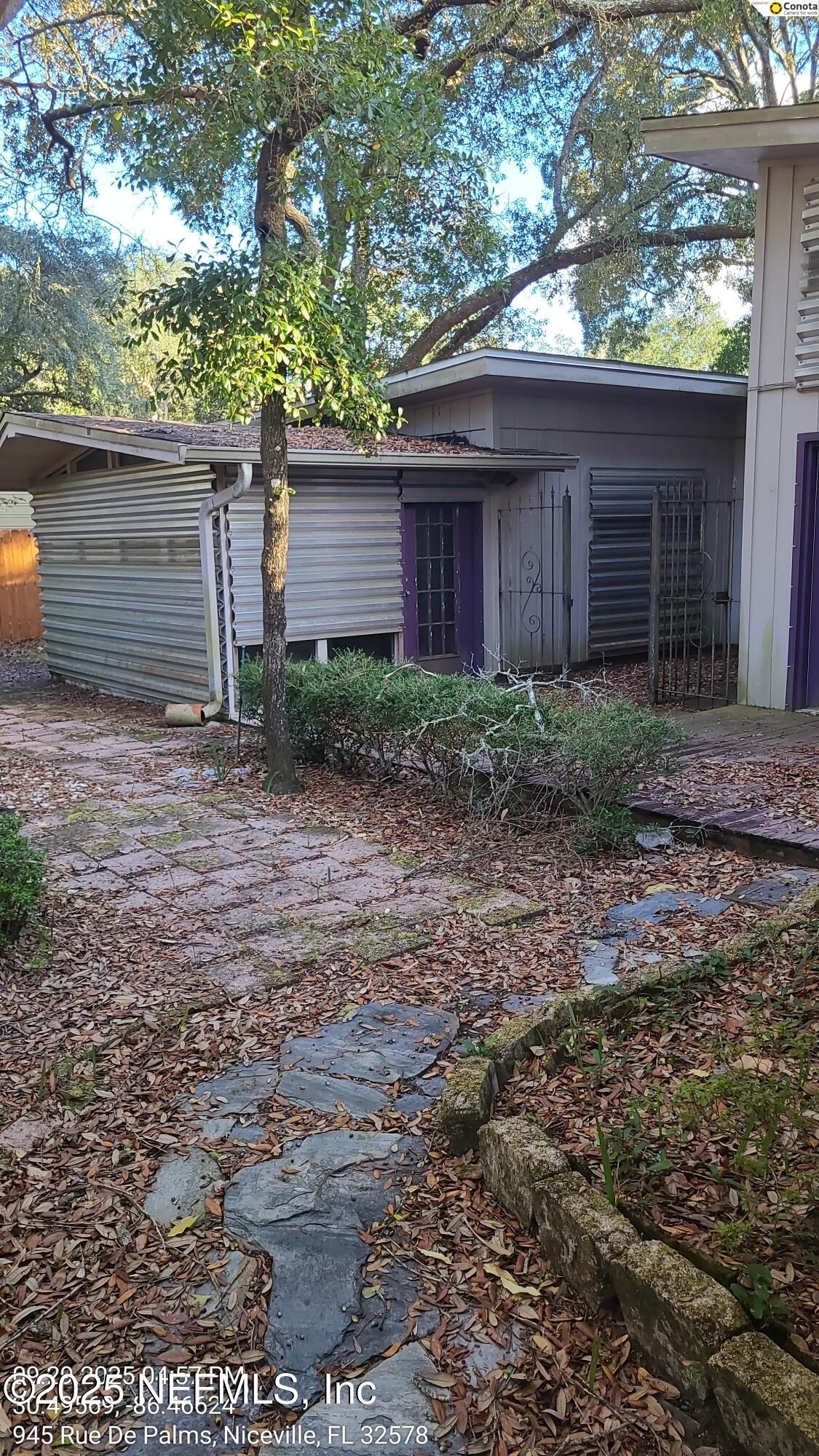 945 Rue De Palms Niceville, FL 32578 - Photo 3 of 37 a view of a backyard that has plants and large tree