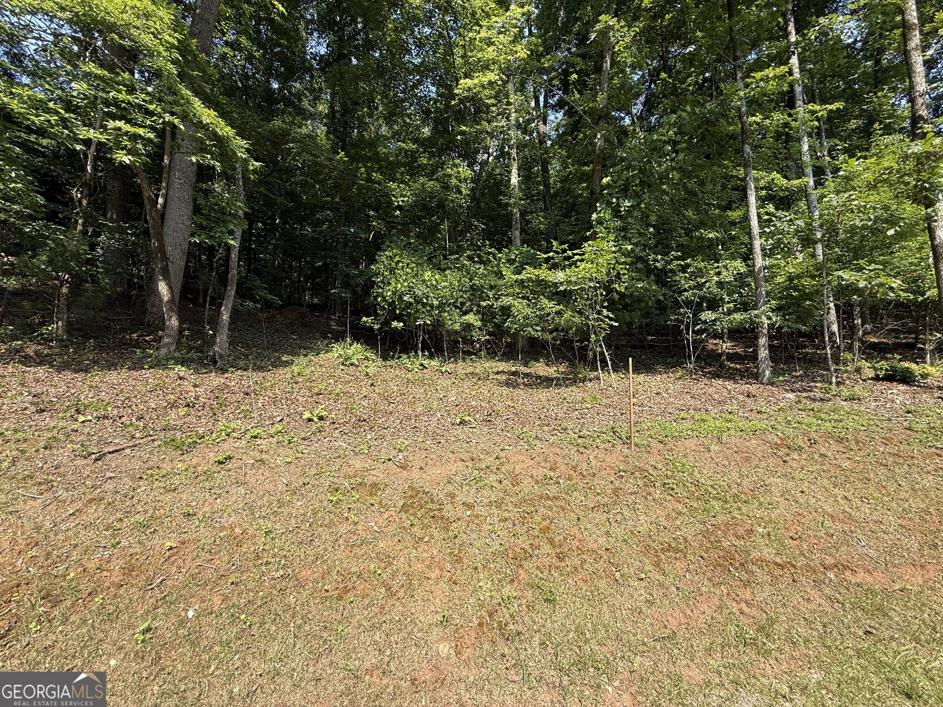 248 Ledford Chapel Road Hayesville, NC 28904 - Photo 19 of 24