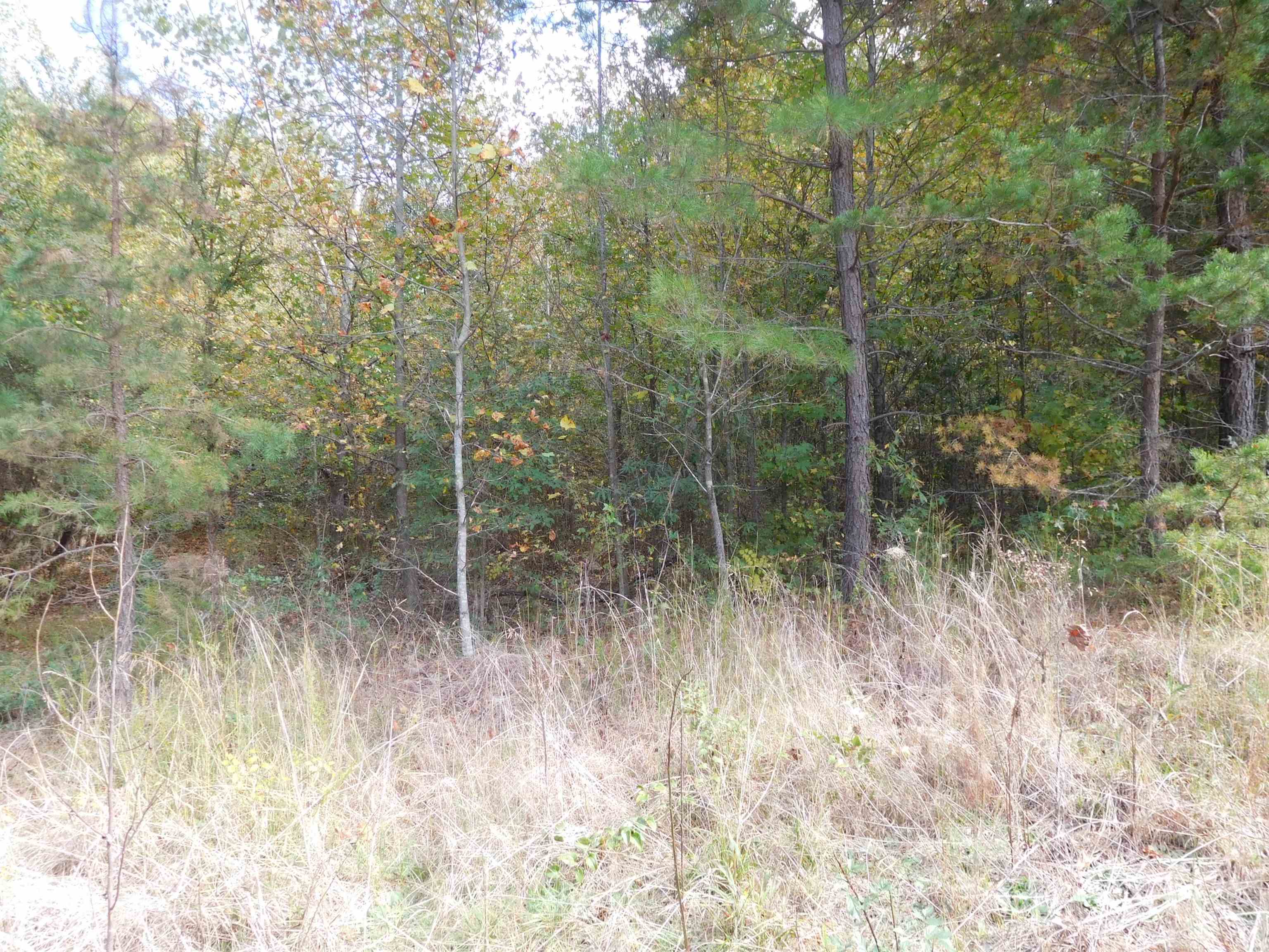 Tbd Lyman Drive Blacksburg, SC 29702 - Photo 2 of 2