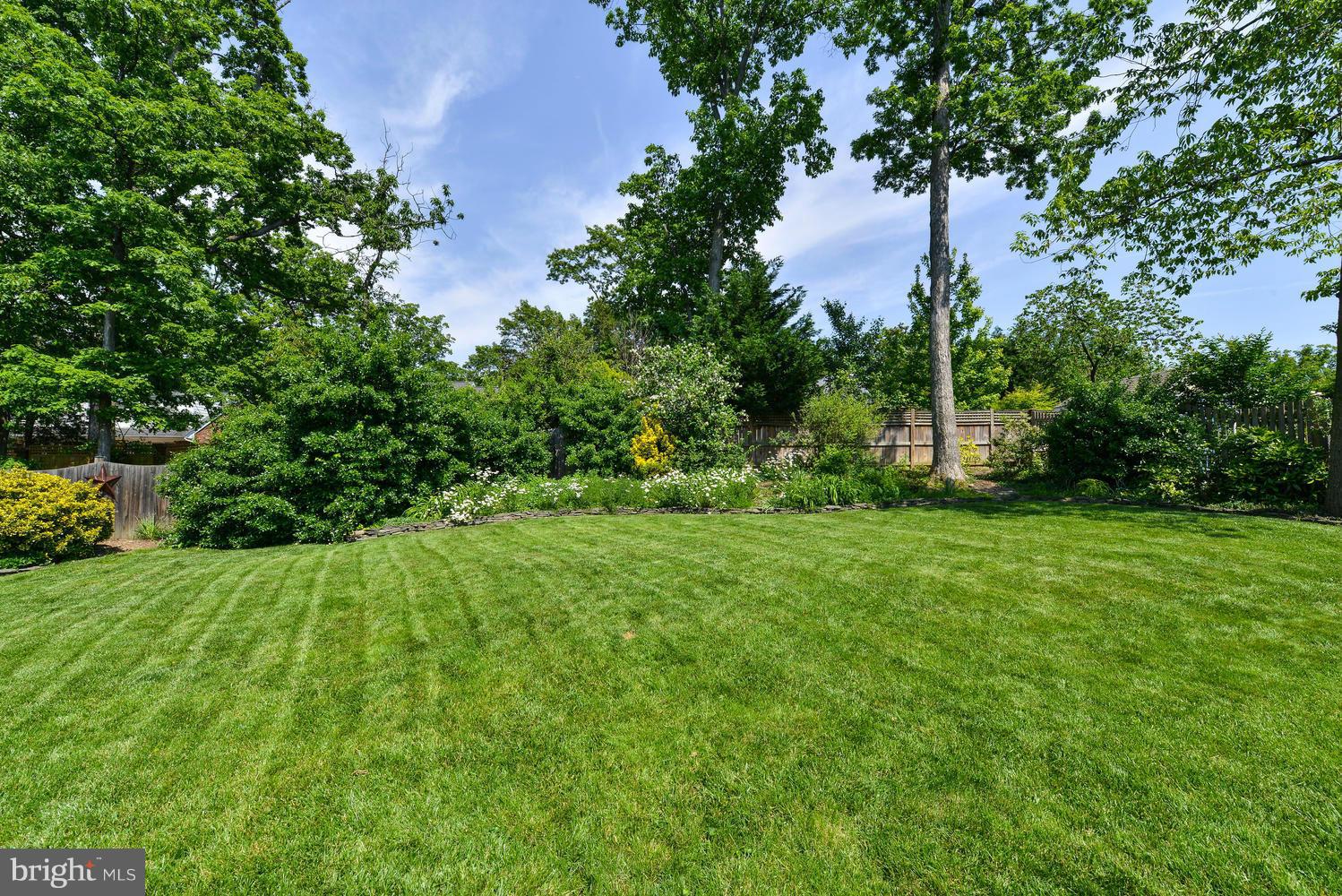 2312 Windsor Road Alexandria, VA 22307 - Photo 18 of 20 Exterior (Rear)