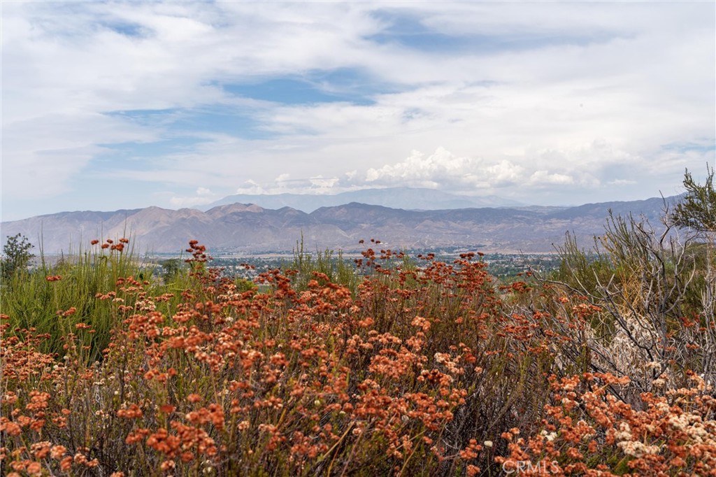 28280 Rawlings Road Hemet, CA 92544 - Photo 55 of 73 Gallery Image 55