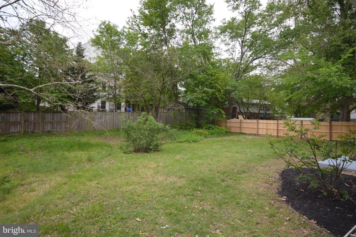 4429 Roundhill Road Alexandria, VA 22310 - Photo 4 of 24 Large Backyard