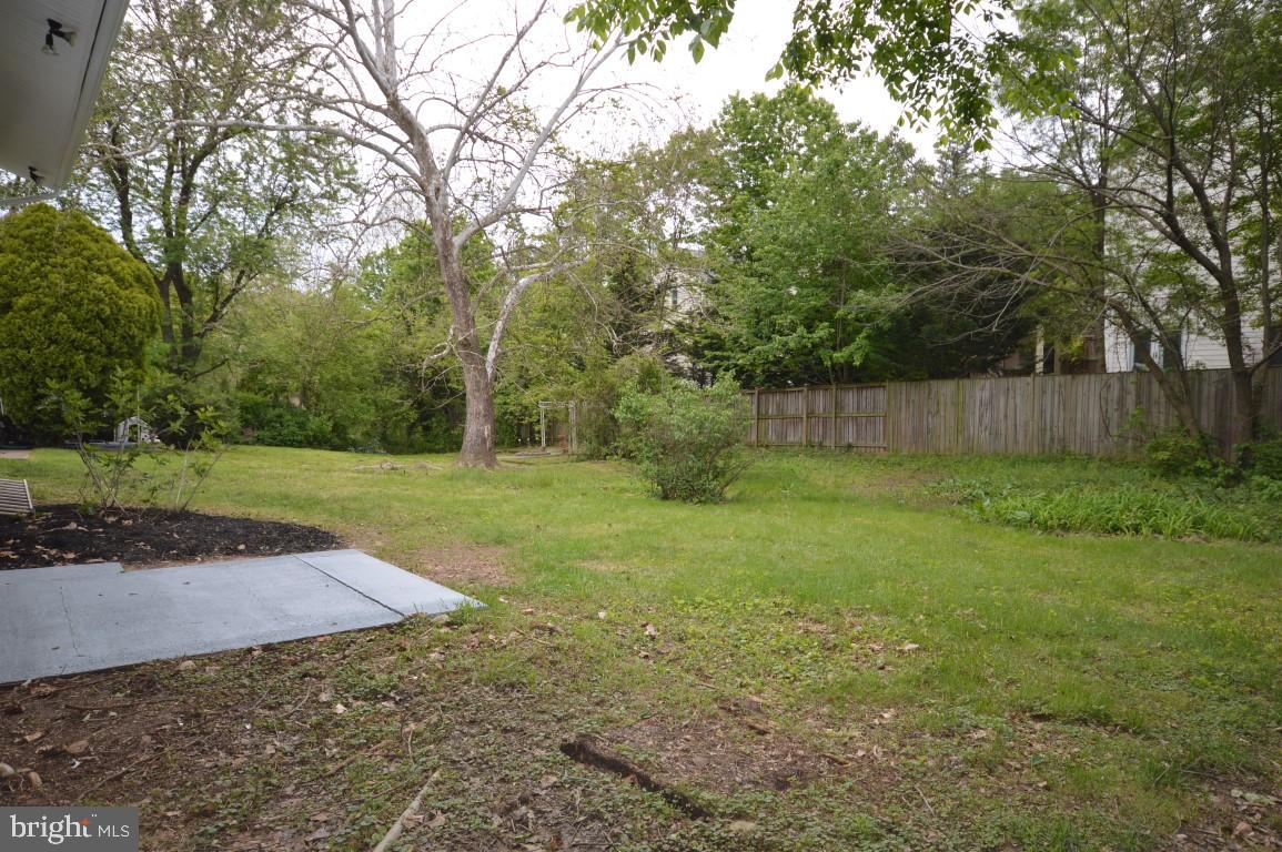 4429 Roundhill Road Alexandria, VA 22310 - Photo 5 of 24 Backyard/Patio